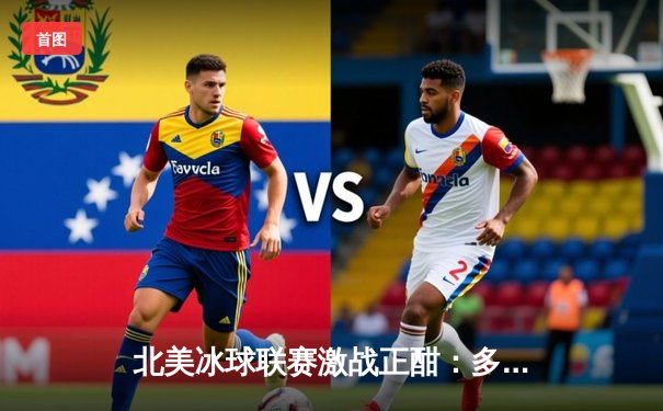 北美冰球联赛激战正酣：多伦多枫叶加时绝杀温哥华加人队