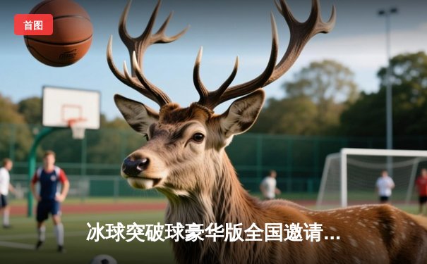 冰球突破球豪华版全国邀请赛：上海北极星队加时绝杀卫冕冠军