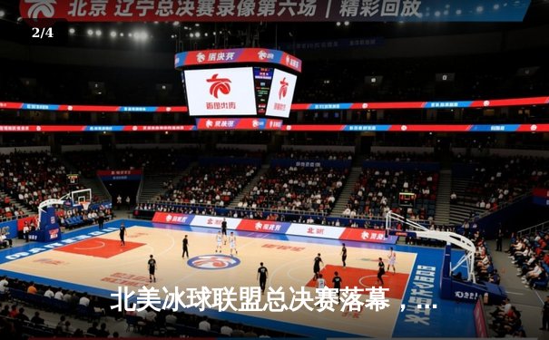 北美冰球联盟总决赛落幕，芝加哥黑鹰加时绝杀卫冕冠军 - 2